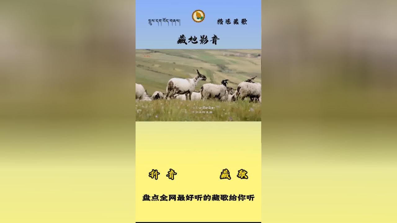 最新藏歌视频欣赏???