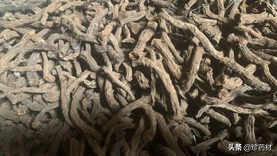 复盆子最新价格与市场走势分析及其影响综述