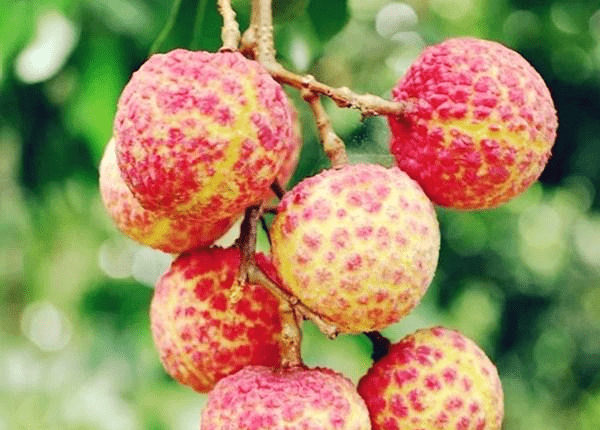 水果最新卖法，创新之路与时代印记的探索