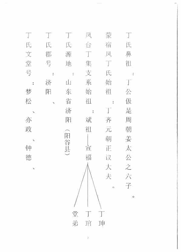 丁氏最新族谱编写指南,步骤与要点解析
