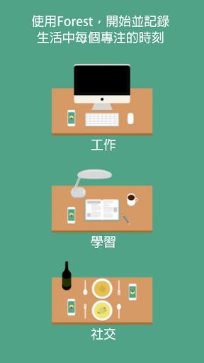 森林最新版日常故事,揭开森林之秘的篇章