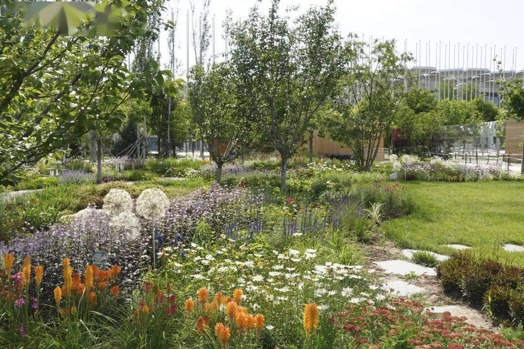 胡惠蓉全新指南，任务完成与技能学习全步骤攻略