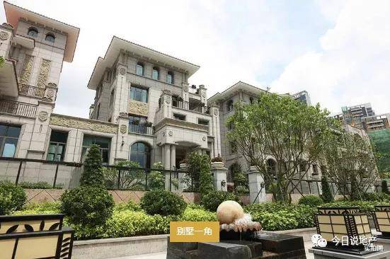 紫云最新新闻报道