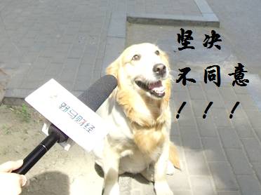 高科技产品介绍,探索真实功能与特点,激发你的好奇心