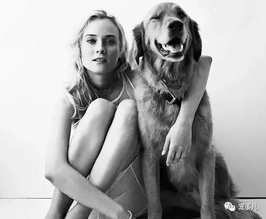 高科技产品介绍,探索真实功能与特点,激发你的好奇心