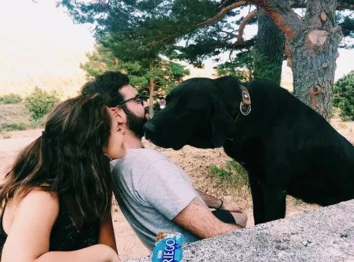 高科技产品介绍,探索真实功能与特点,激发你的好奇心