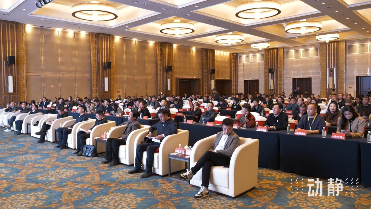 2024最新肉牛价格指南，如何获取与理解市场价格，掌握肉牛市场趋势