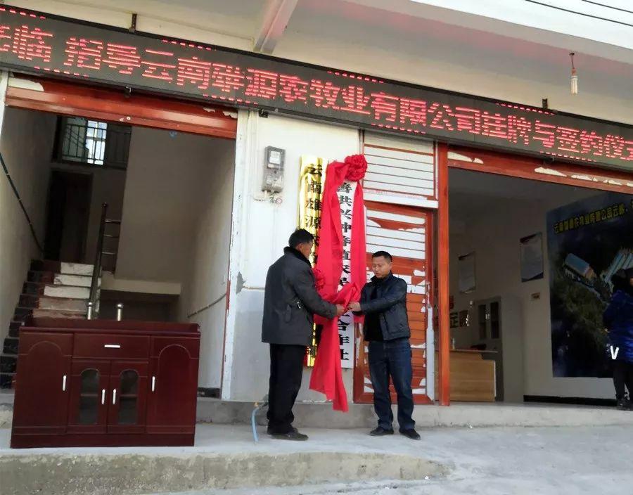 2024最新肉牛价格指南,如何获取与理解市场价格,掌握肉牛市场趋势