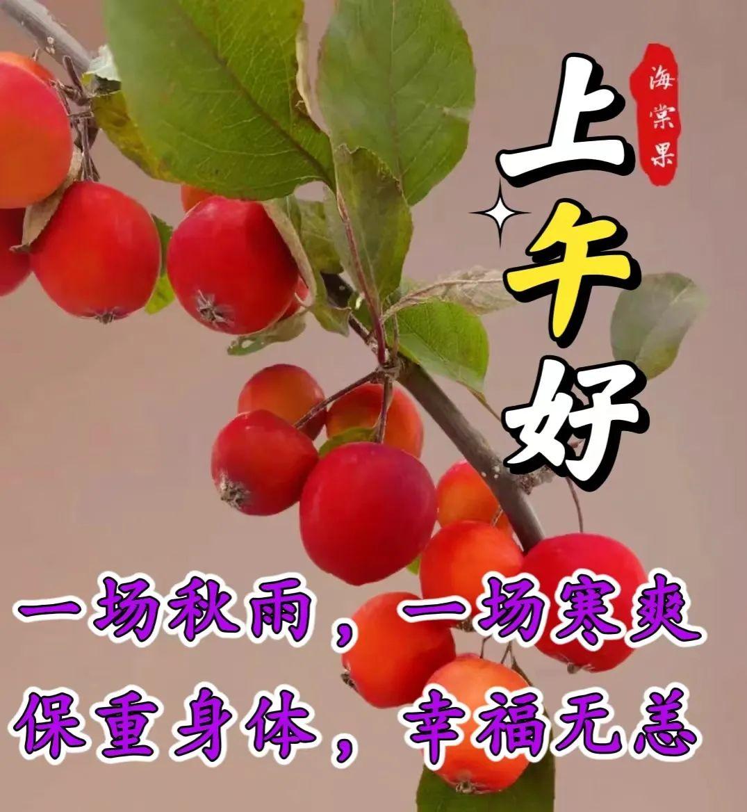 最新动画表情,背景、发展、影响及在当代的地位