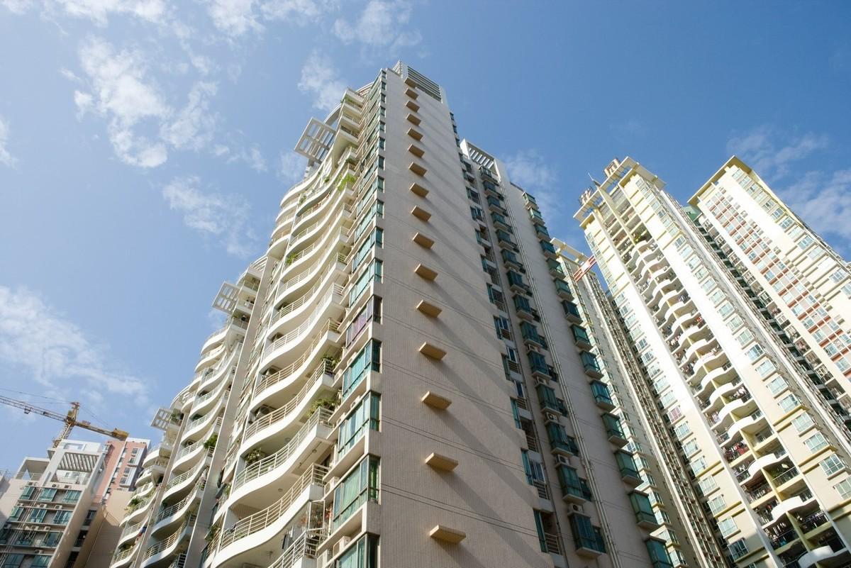 最新征信政策下的温馨故事展开之旅