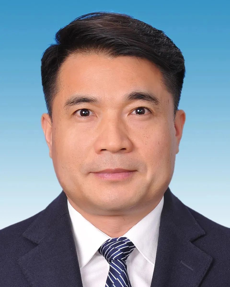 杭州最新任命，人才选拔的多维视角与区域发展联动效应分析