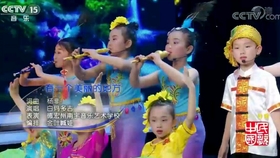 姐告最新租房，小巷深处的独特风情探索