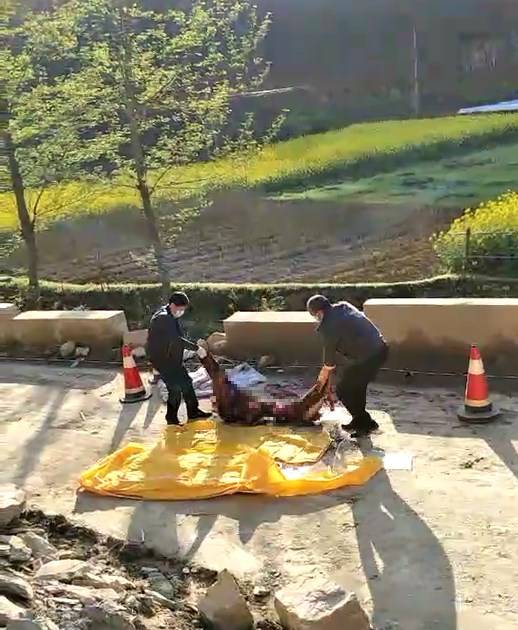 勉县车祸背后的故事与小巷美食奇遇揭秘