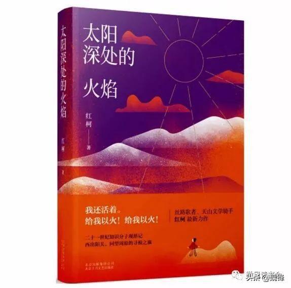 最新长篇小说,探索未知世界的奥秘