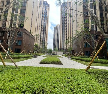 射洪房价最新动态，市场趋势、预测与展望 2024年展望