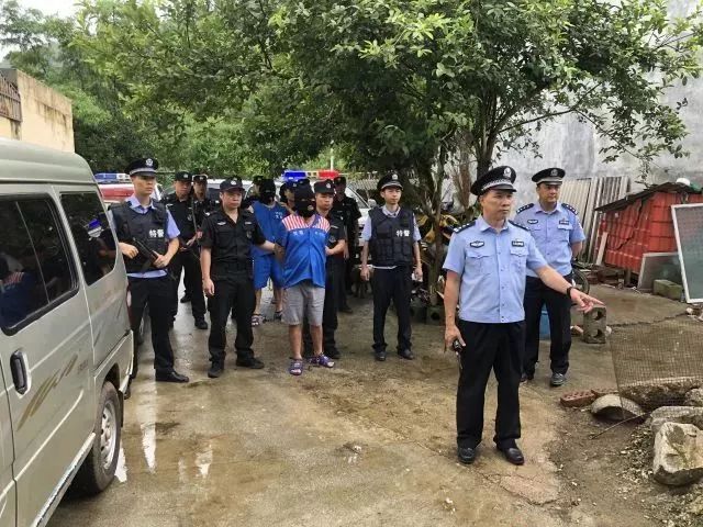 广西凭祥最新案件概览,最新案件分析报道