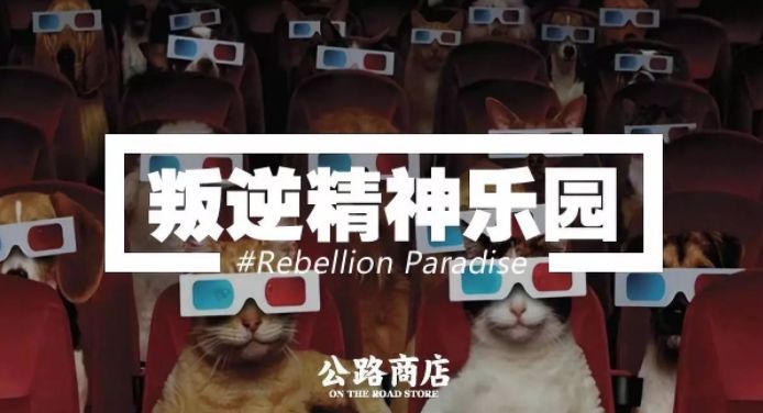 探索神秘宝藏,最新毛骗网站与小巷小店之旅