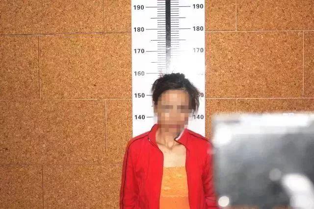 最新妖妖直播，日常趣事与友情纽带的精彩呈现