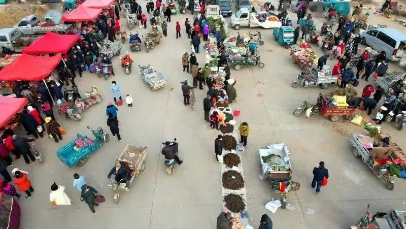 工程机械快换辅具 第349页