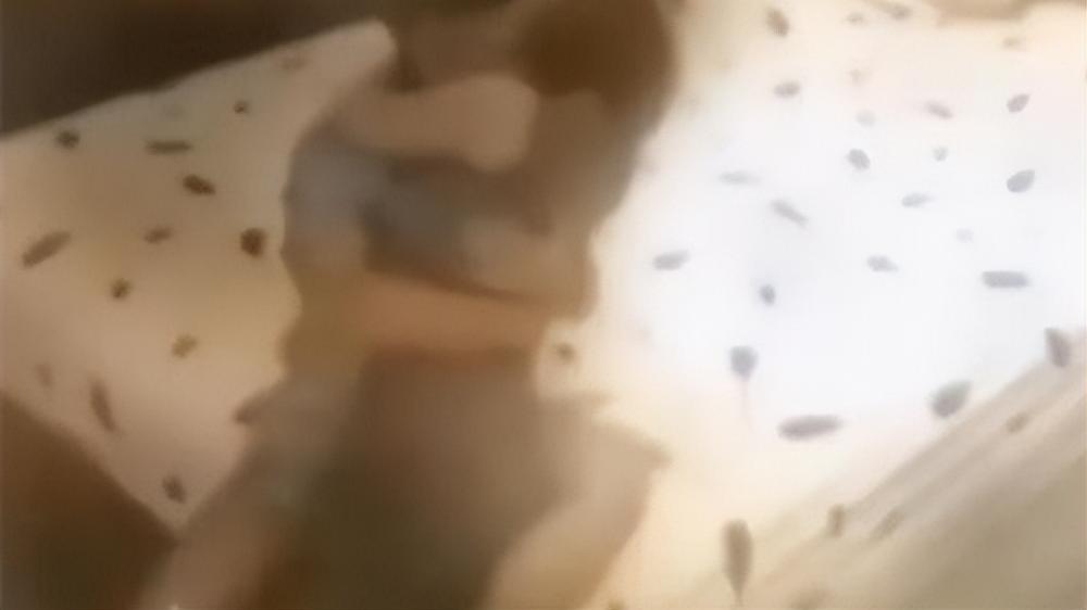 关于偷偷碰最新视频的争议,正反分析与个人立场探讨