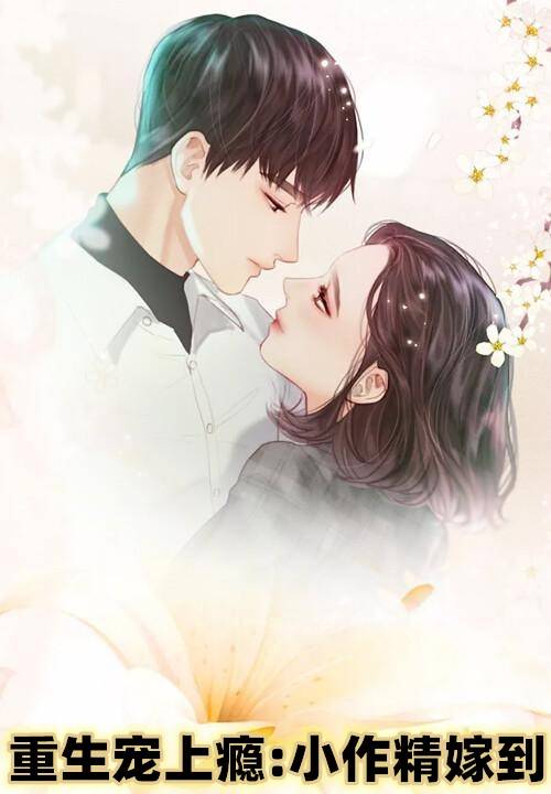 言情库最新小说，科技与情感的完美交融之作