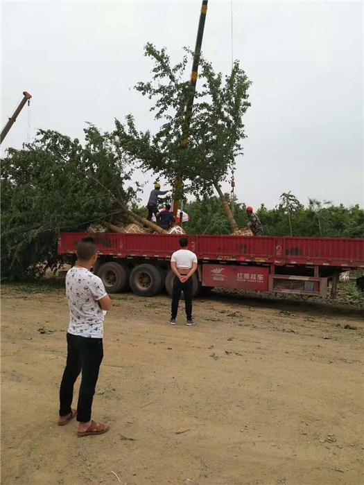 邳州郯城大战的最新动态，变化中的学习之旅，自信与成就感的源泉