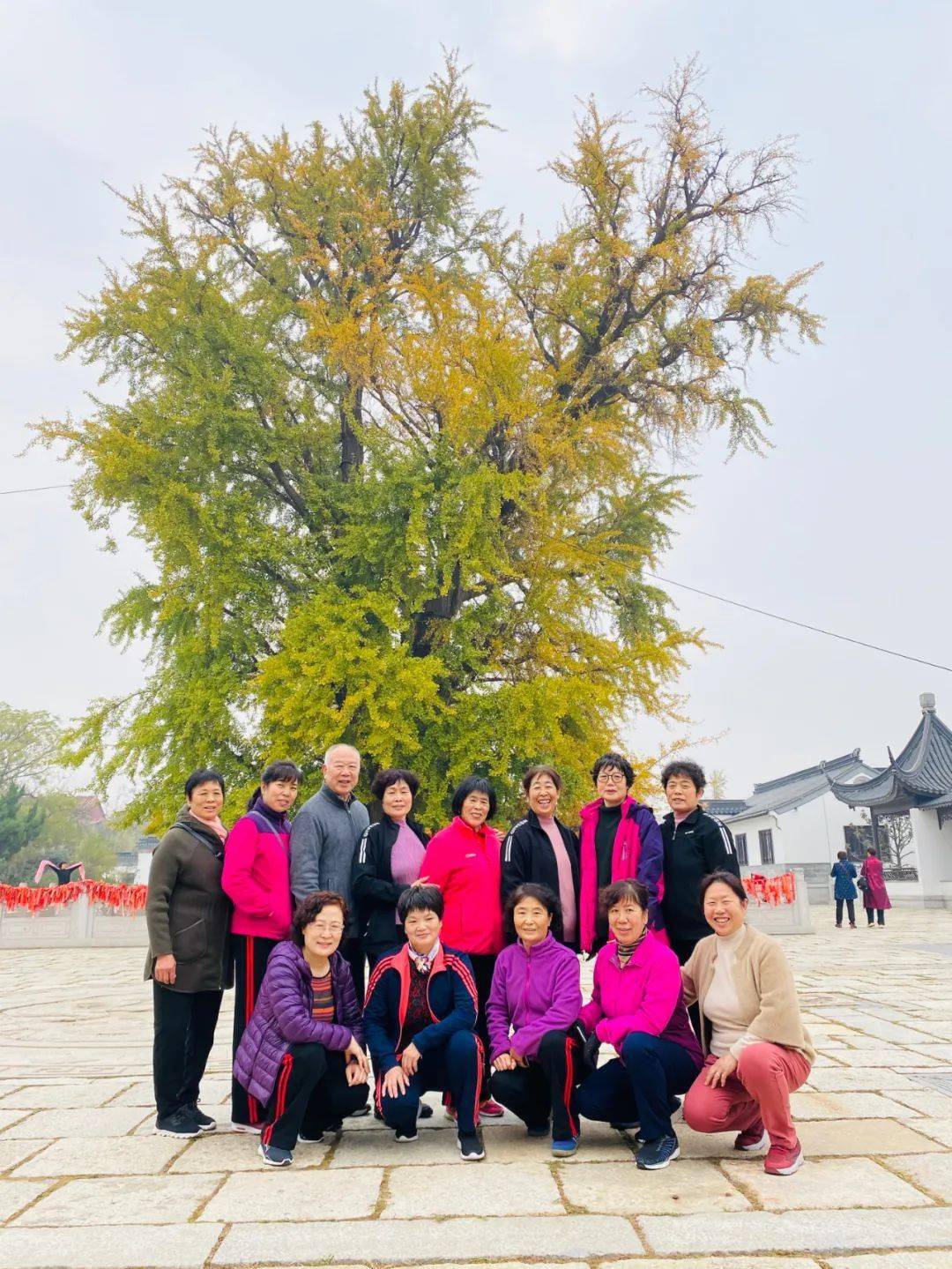 邳州郯城大战的最新动态,变化中的学习之旅,自信与成就感的源泉