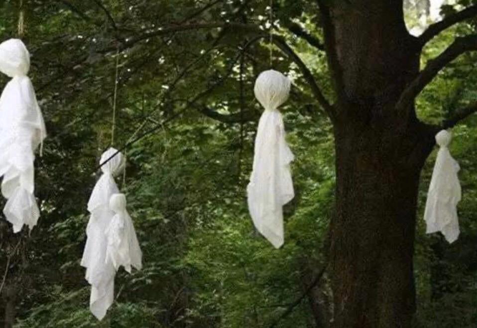 台湾灵异节目，最新观看指南