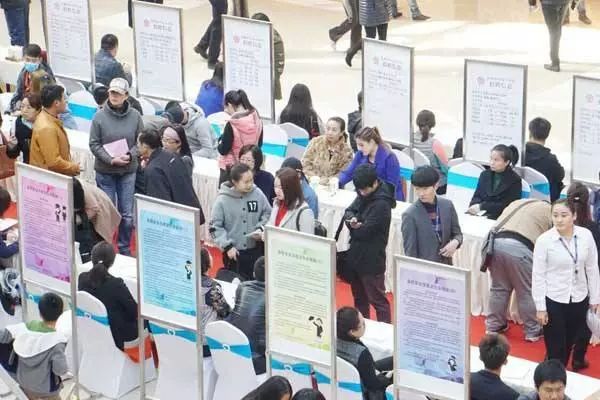 黄岛最新招工热潮与科技新品亮相,引领未来生活新潮流