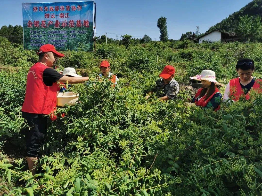 南江最新工作,探索发展机遇与挑战