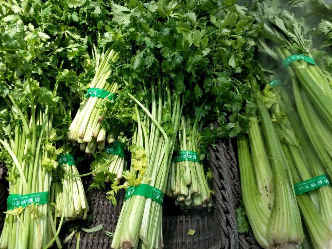 今日芹菜最新价格背后的友情与陪伴温馨故事