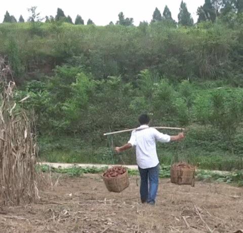 科技重塑农业，最新农具大全图片及未来农耕新纪元体验