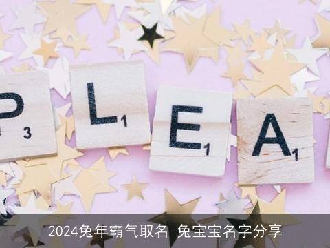 2024最新Q名揭秘，小巷深处的独特风味