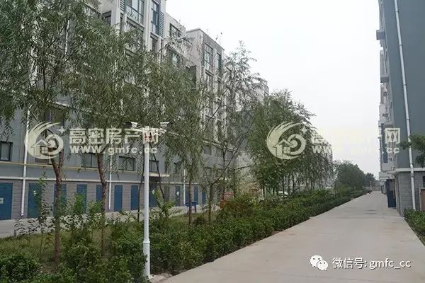 高密最新房源，科技重塑居住新体验，优质房源一览无余