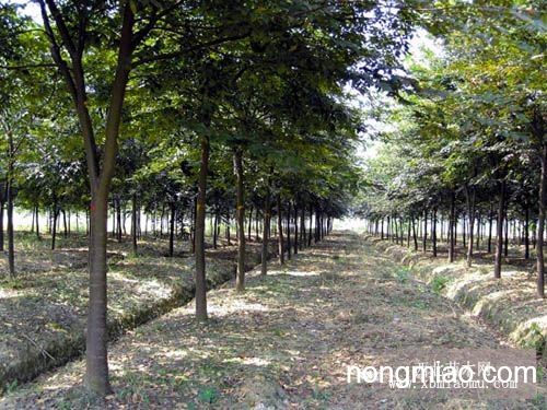 工程机械快换辅具 第345页