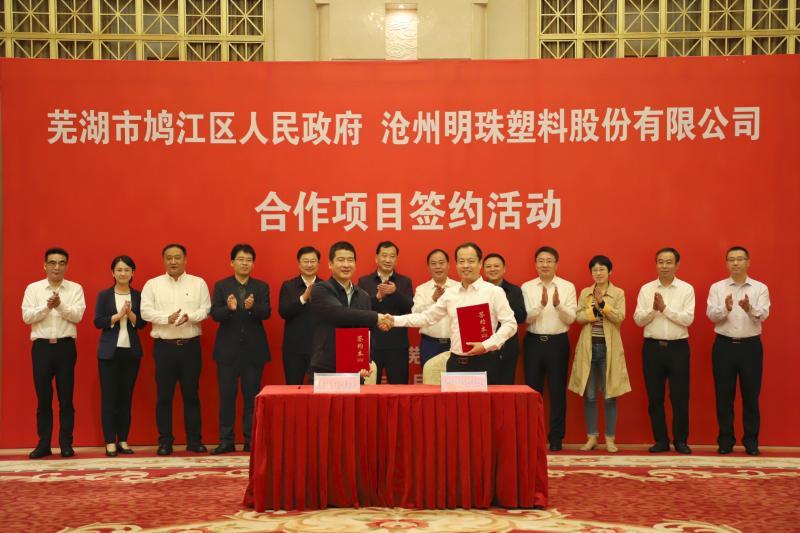 沧州明珠股票最新动态，温馨股市故事与最新消息解读