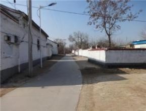 临泉县杨桥镇最新动态，新鲜事一网打尽！