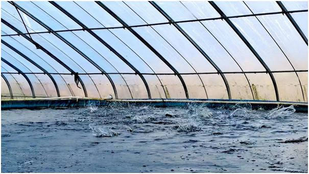 芜湖许镇镇最新规划探索，自然美景之旅与内心平和之地的追寻