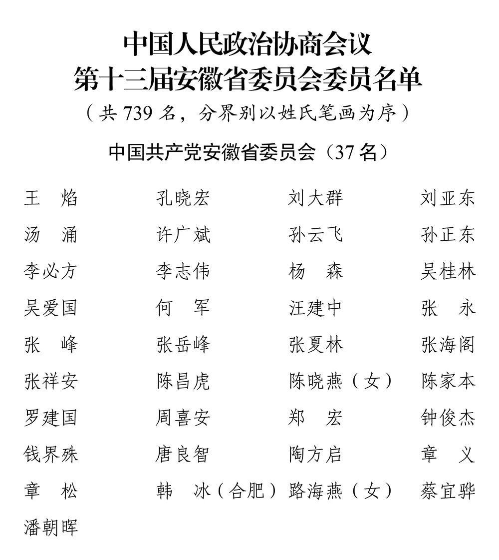 安徽常委名单更新,小巷秘境中的特色小店魅力独特