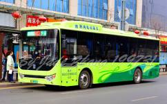 台州903公交车路线最新动态更新