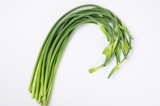 新蒜苔价格行情分析与市场趋势预测