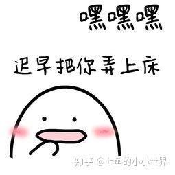 2024最新逗比说说集结，笑料十足让你乐翻天！