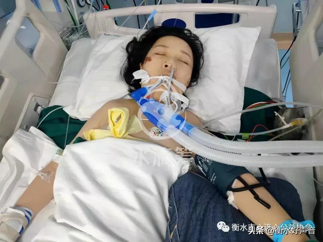 衡水交通事故,小巷美食奇遇中的意外惊魂