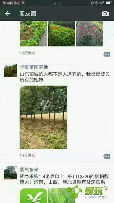 郯城与邳州最新消息全面解读，指南与步骤详解