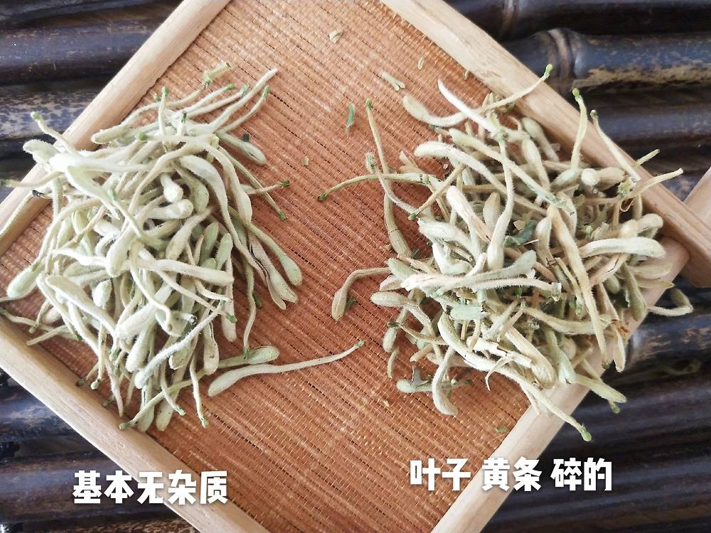 平邑金银花最新价格揭秘???