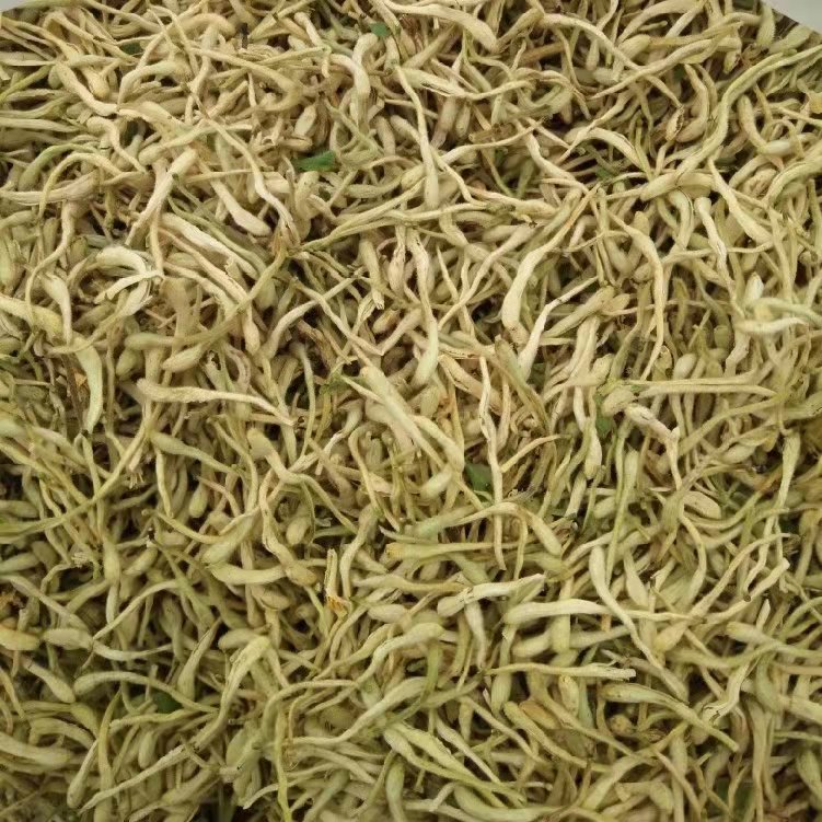 平邑金银花最新价格揭秘???