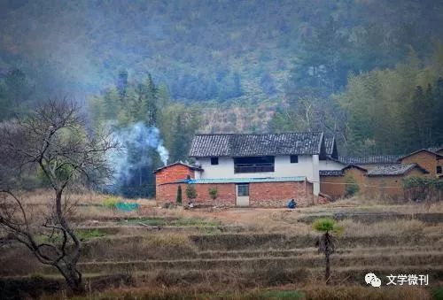 山村小岭主,隐秘山村的传奇故事最新章节更新