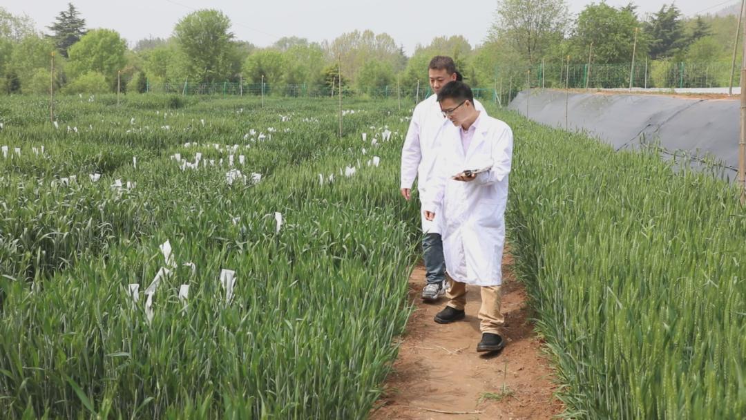 汕头潮南峡山最新招聘，职业发展的理想选择