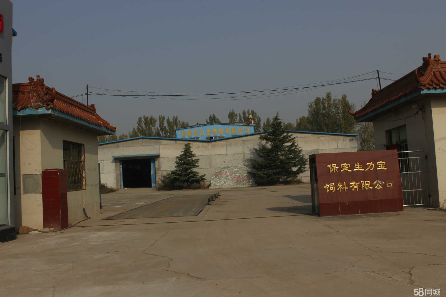 临沂饲料厂最新招聘情况及行业现状与个人观点探析