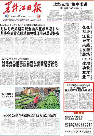 伊春市区最新招聘信息揭秘,探寻小巷中的隐藏职业宝藏